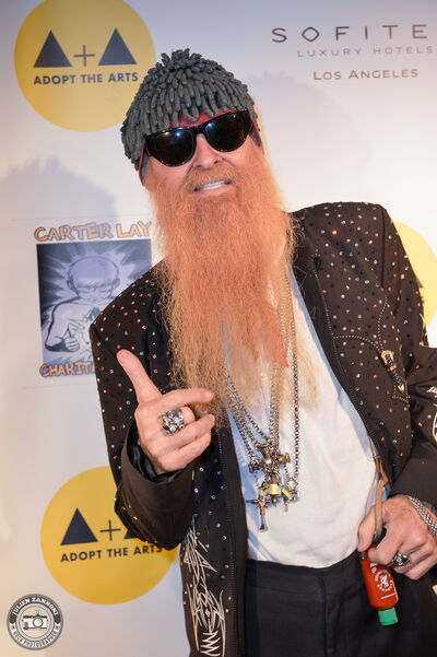 Billy Gibbons (ZZ Top) sur le tapis rouge de la soirée Adopt The Arts au Roxy à Los Angeles, en janvier 2015
