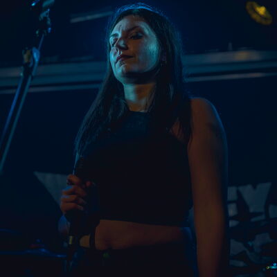 Brin de Zinc - Melany Wild