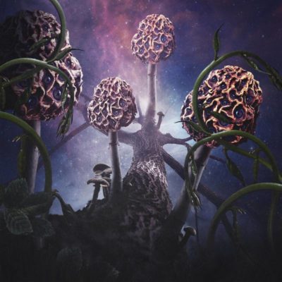 Hallucinogen par Blut Aus Nord
